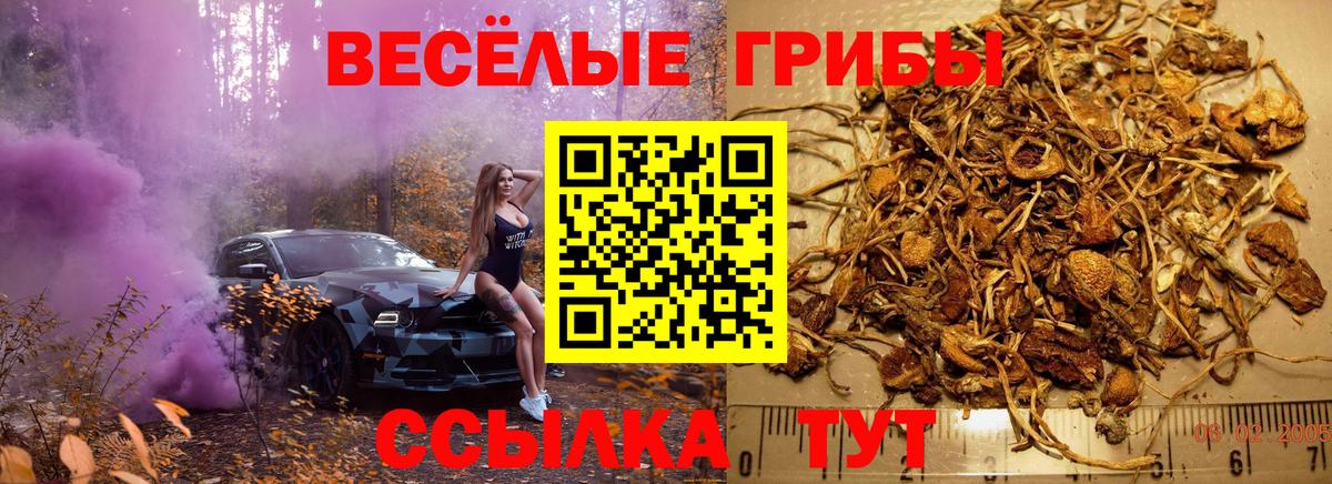 Галлюциногенные грибы ЛСД  Вход с VPN  Урус-Мартан  Псилоцибиновые грибы прущие грибы 